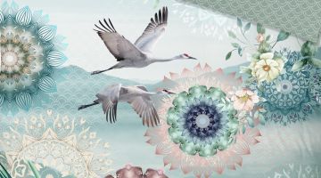 image_7a2e828b5c6833_2_f28e1decffb6784eabbd14654cebb392.jpeg