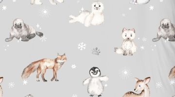 image_4cf46169a0d5f2_2_93de596c00f24b8c00d50d1ce2b6a838.jpeg