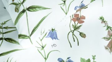 image_1d66bf6141260d_2_396d1756b1df199d81ee11fab2a10ab6.jpeg