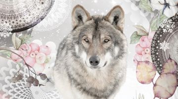 image_cc355699c9fb6e_2_66c3aaee8cb5c3cf1abc4024bbe4e825.jpeg
