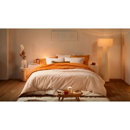 Enveloppe de couette De Witte Lietaer Tango Cleo - Copper