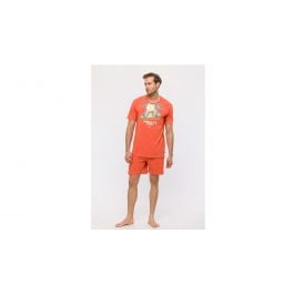 Pyjama homme Woody Short Koala Surf - Rouge brique