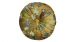 Coussin décoratif Beddinghouse x Van Gogh Museum Boule de Fleurs - Gold