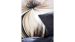 Enveloppe de couette Vandyck Saffira - Cream Tan