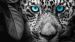 Enveloppe de couette Pure Blue Eyes - Anthracite
