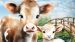 Enveloppe de couette Kids Pure Farm - Multi