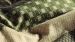 Enveloppe de couette Beddinghouse Fera - Green