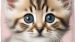 Enveloppe de couette Kids Good Morning Meow - Rose