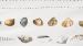 Enveloppe de couette Marjolein Bastin Shellfish - White