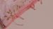 Drap-housse Pip Studio Royal Nights - Rose