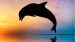 Enveloppe de couette Kids Good Morning Dolphin - Multi