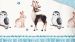 Enveloppe de couette Kids Good Morning Freezing - Blue