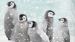 Enveloppe de couette Kids Good Morning Pengu - Bleu
