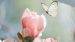 Enveloppe de couette Good Morning Close - Multi