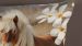 Enveloppe de couette Kids Pure Fabi - Sand