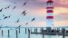 Enveloppe de couette Pure Lighthouse - Multi