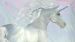 Enveloppe de couette Kids Good Morning Unicorn - Multi