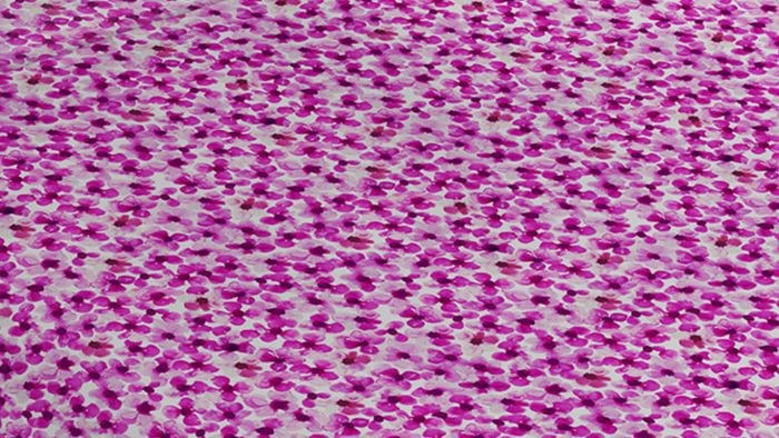 Pansies Pink Nomade Dekbedovertrek Detail