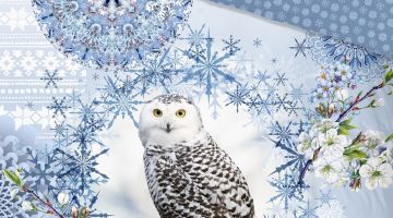 image_377cc9863cad33_1_6d7c9e4743ed2dbdd97b88ed96cc3ef8.jpeg