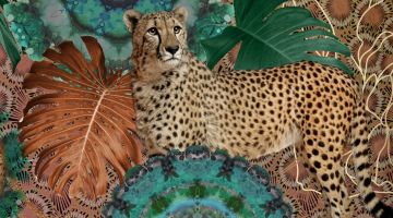 image_97af64796ce13d_1_c1c94a1fada5b7e6502a5815a1ac9350.jpeg